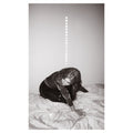 Julia Holter – Materia