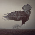 Katatonia – The Fall of Hearts