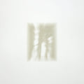 Fat White Family – Forgiveness Is Yours