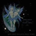 Animal Collective – Spirit They’re Gone, Spirit They’ve Vanished