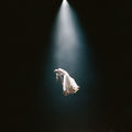 Ariana Grande – eternal sunshine deluxe: brighter days ahead