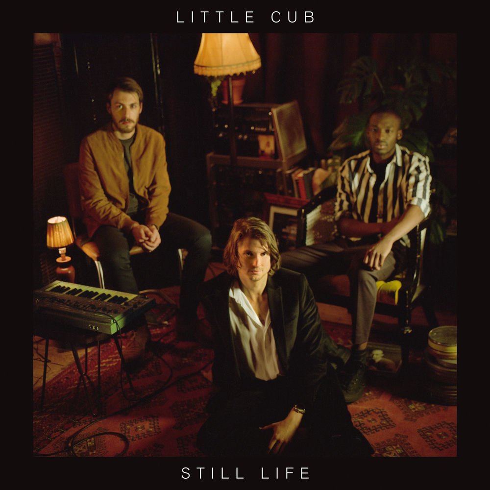 Little Cub – Still Life