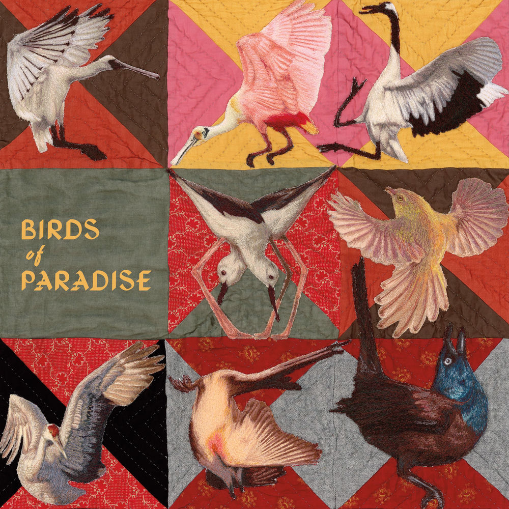 Thomas Dollbaum – Birds of Paradise