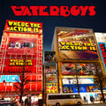 The Waterboys – Where the Action Is
