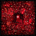 Iron & Wine – Hen's Teeth