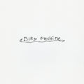 Sparklehorse – Bird Machine