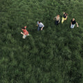 Parcels – Loved