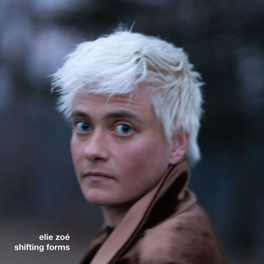Elie Zoé – shifting forms
