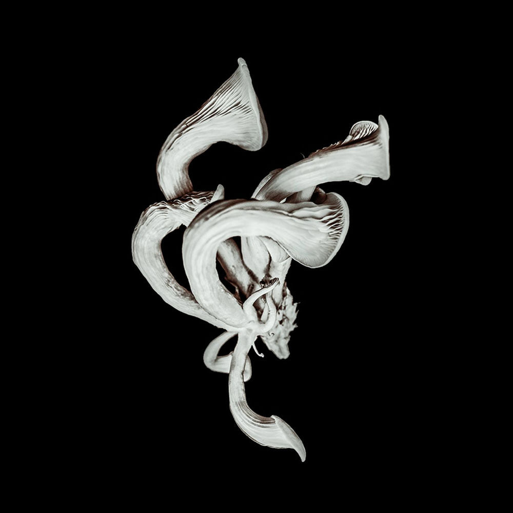 Pixies – Beneath the Eyrie (Deluxe)