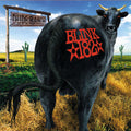 blink-182 – Dude Ranch