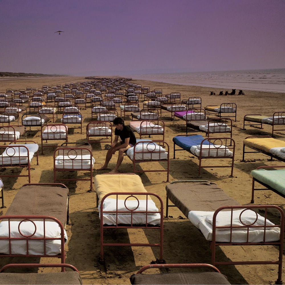Pink Floyd – A Momentary Lapse of Reason