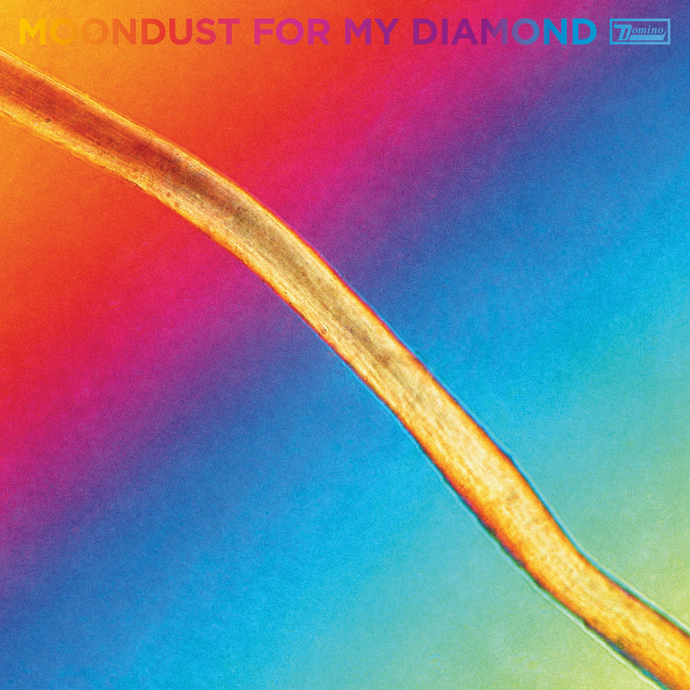 Hayden Thorpe – Moondust For My Diamond