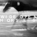 James Vincent McMorrow – Wide open, horses