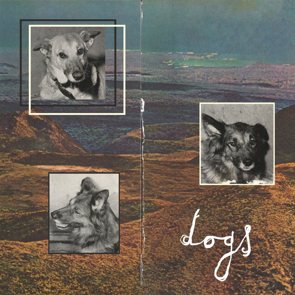 Steve French – Dogs