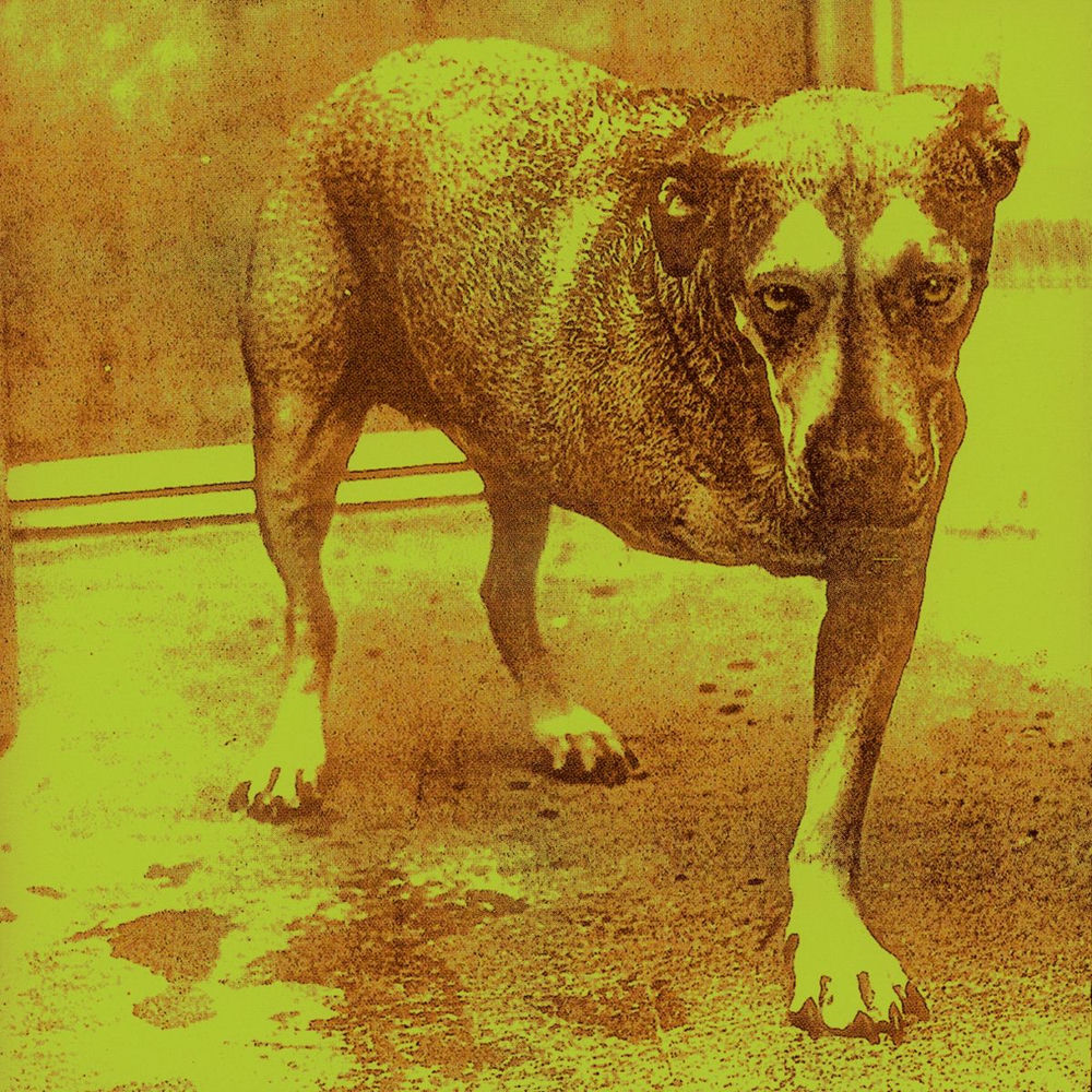 Alice in Chains – Alice In Chains