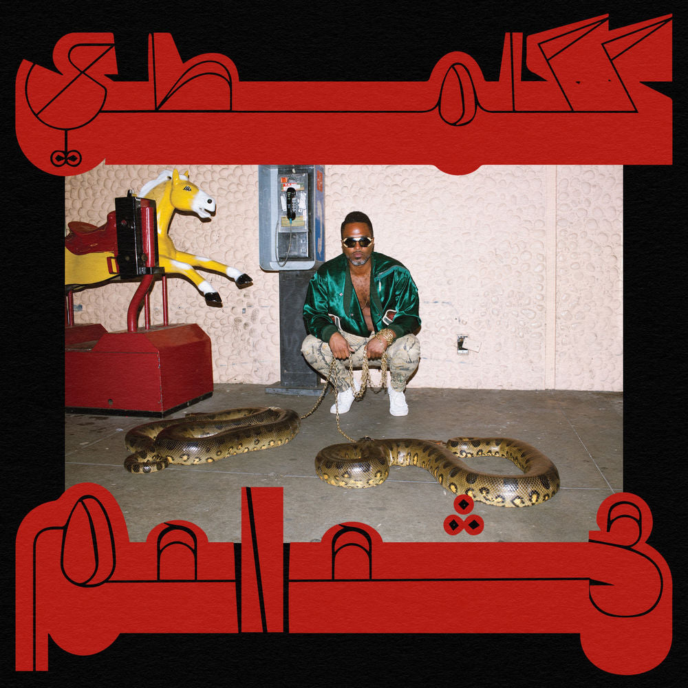 Shabazz Palaces – Robed in Rareness