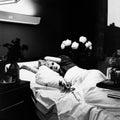 Antony & The Johnsons – I Am A Bird Now