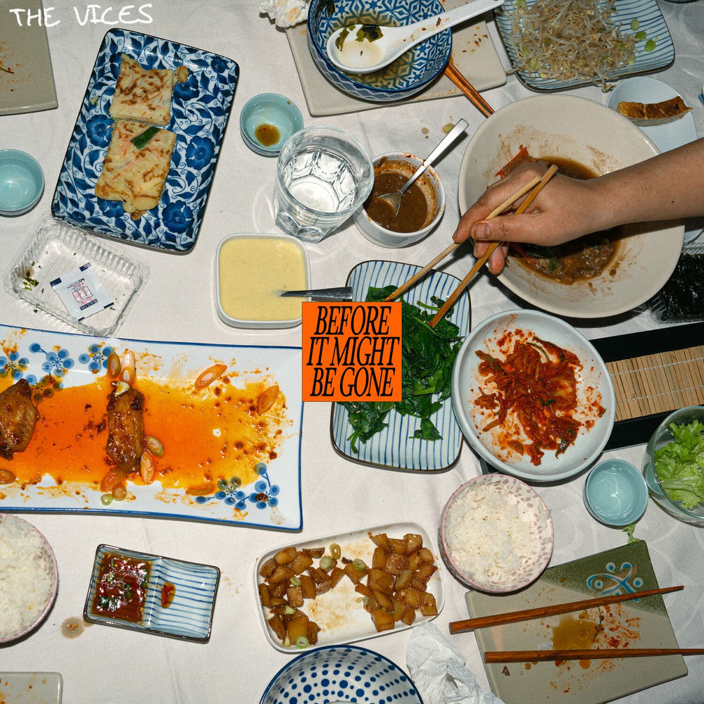 The Vices – Before It Might Be Gone