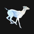 Cloud Cafe – Gift Horse