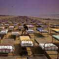 Pink Floyd – A Momentary Lapse of Reason