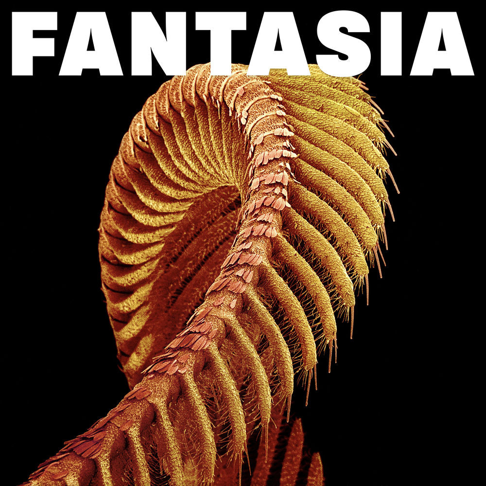 SLIFT – Fantasia