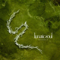Lunatic Soul – Transition II