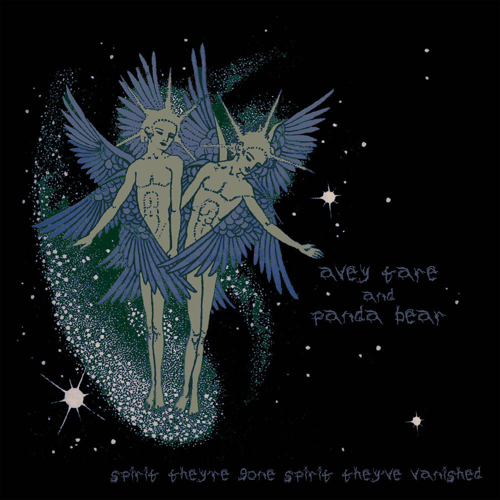 Animal Collective – Spirit They’re Gone, Spirit They’ve Vanished