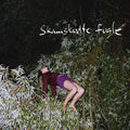 Nikolaj Nørlund – Skamskudte Fugle