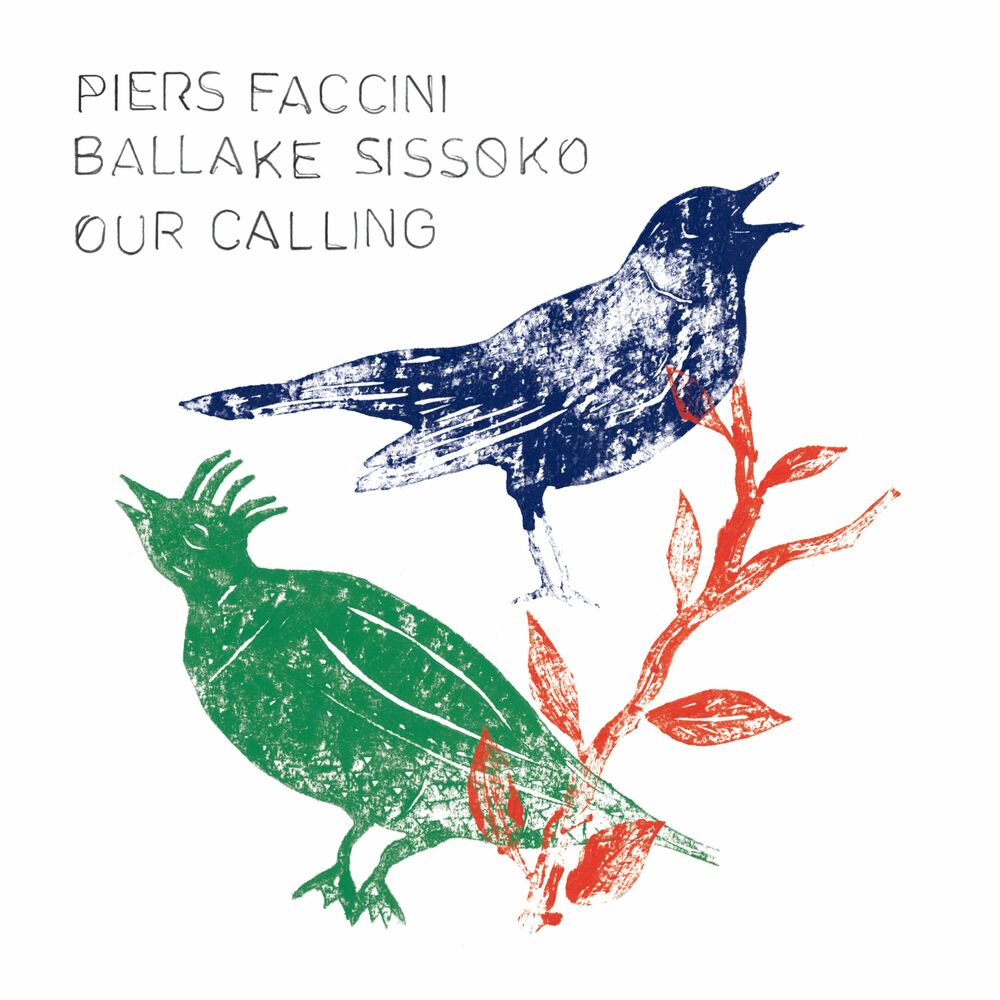 Piers Faccini – Our Calling