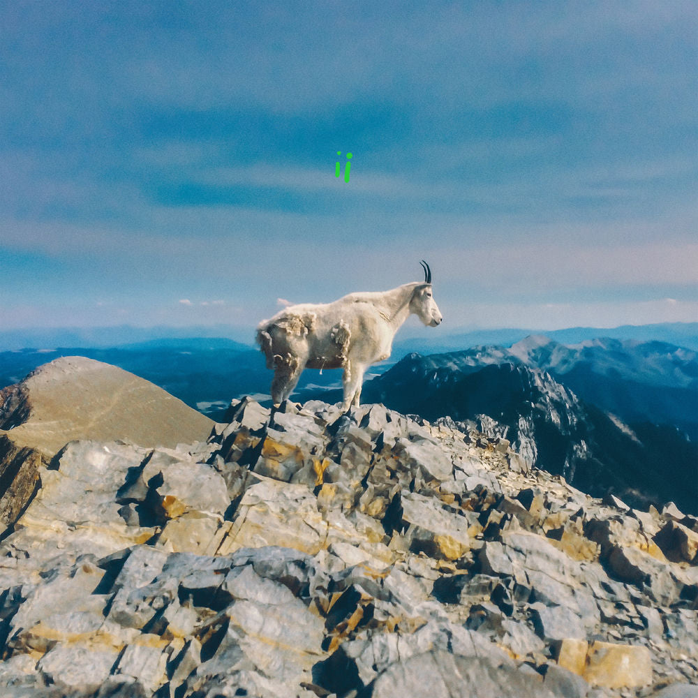 Liima – ii