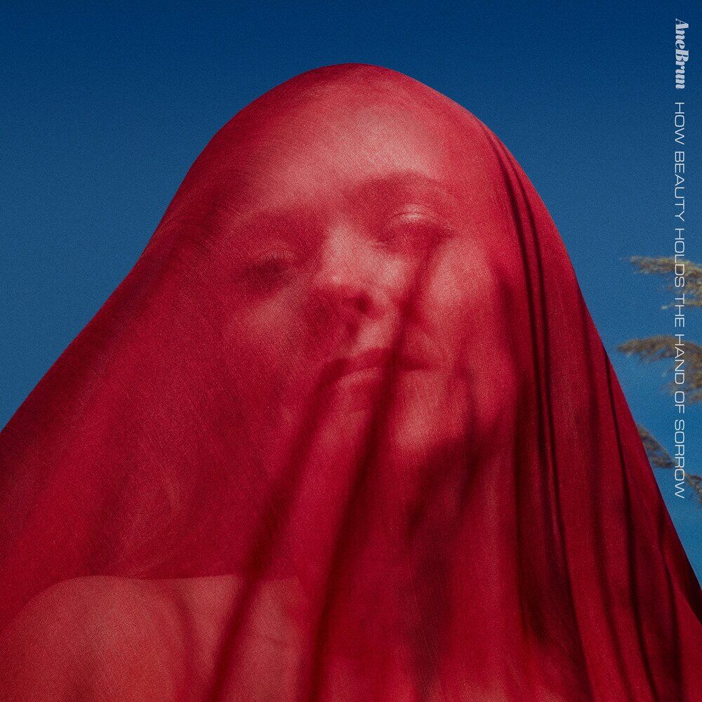 Ane Brun – How Beauty Holds The Hand Of Sorrow