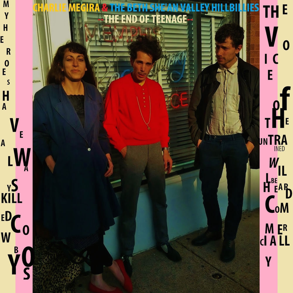 Charlie Megira – The End of Teenage