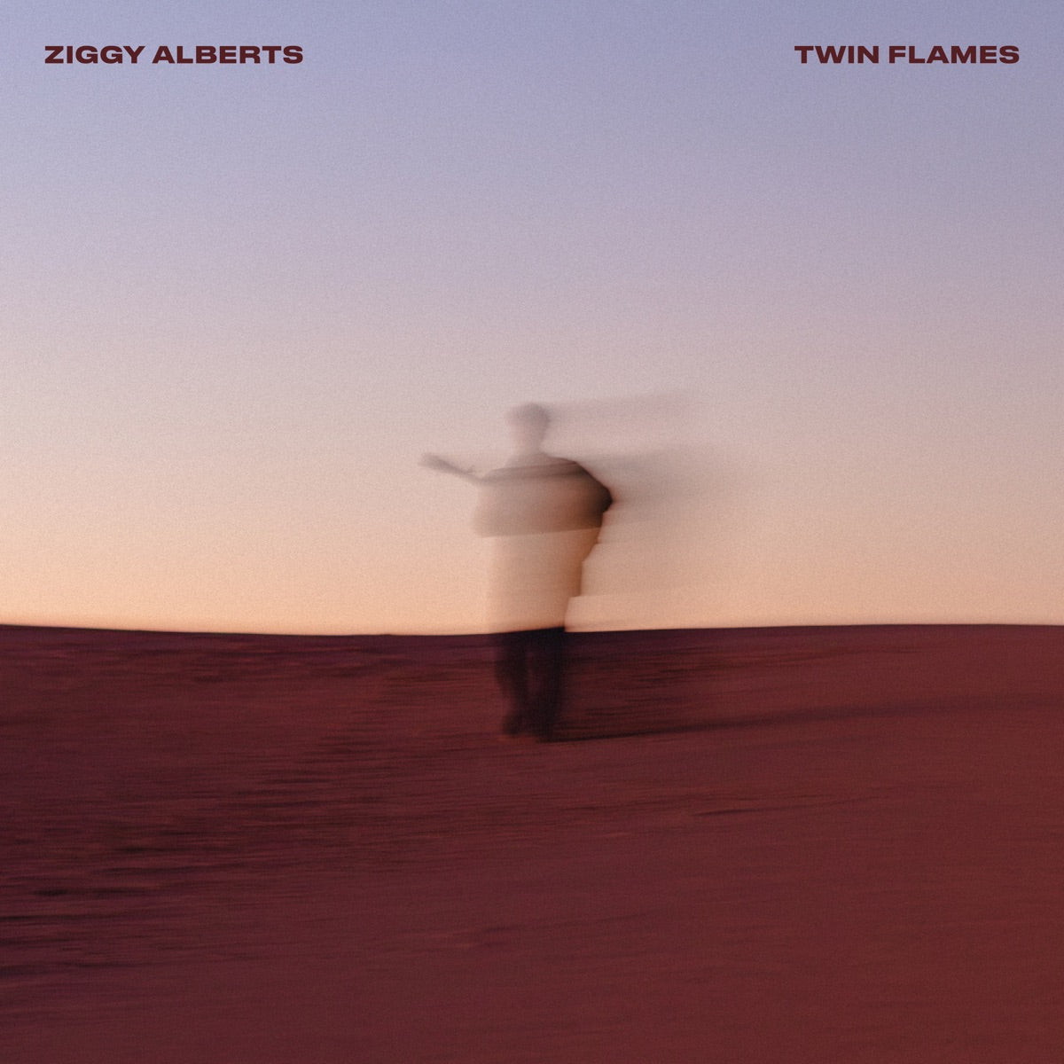 Ziggy Alberts – Twin Flames