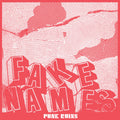 Fake Names – Punk Ruins