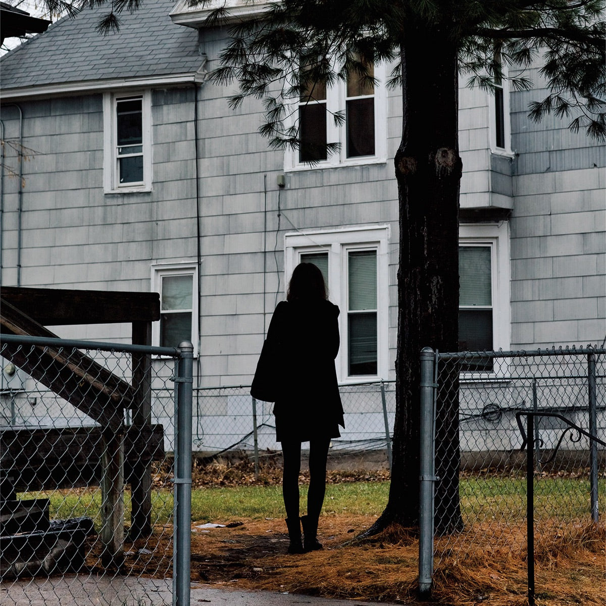 The Tallest Man On Earth – Dark Bird Is Home