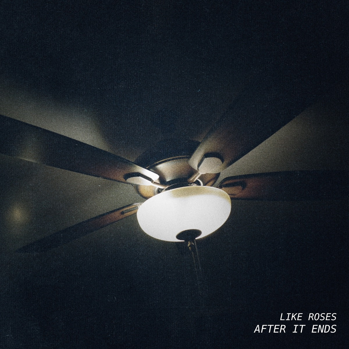 Like Roses – After It Ends
