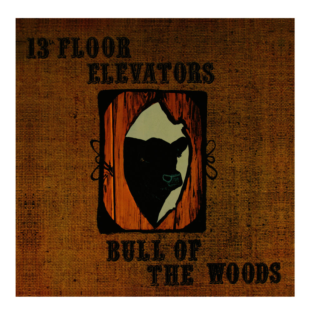 13th Floor Elevators – Bull of the Woods