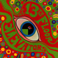13th Floor Elevators – The Psychedelic Sounds of the 13th Floor Elevators