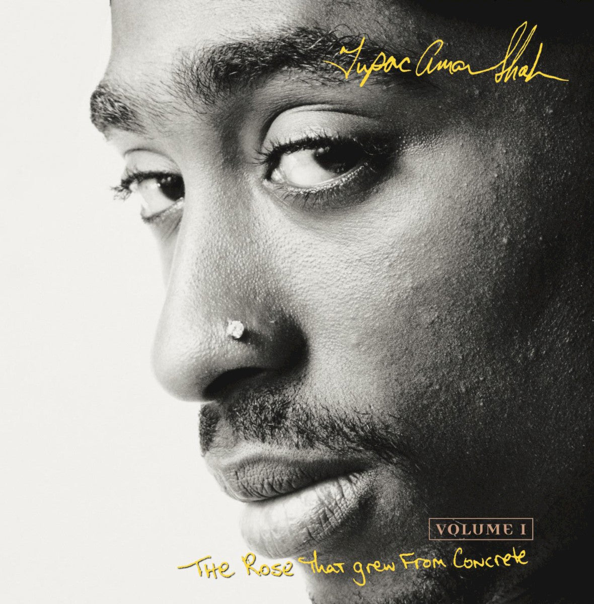 2Pac – The Rose That Grew From Concrete, Volume 1
