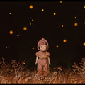 Aeiko – Grave of the fireflies