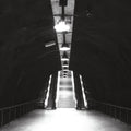 Ah! Kosmos – Flesh