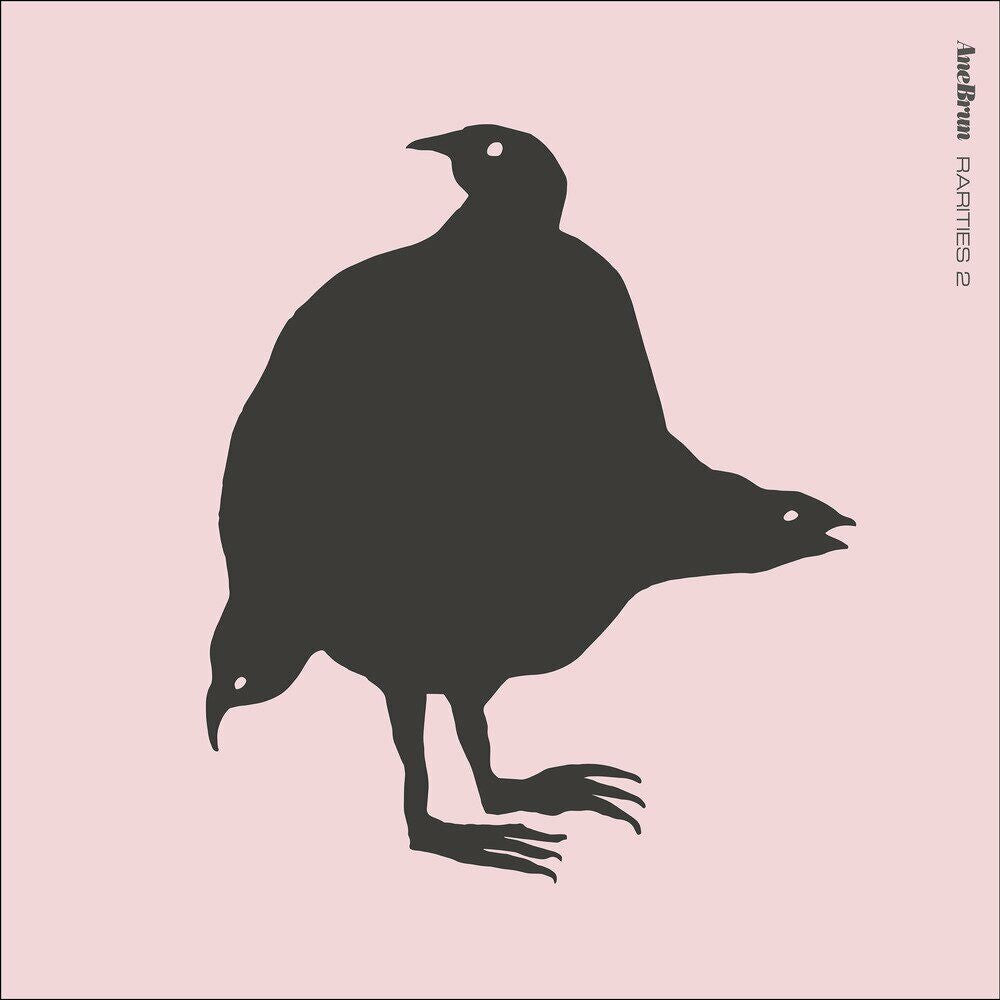 Ane Brun – Rarities 2