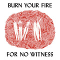 Angel Olsen – Burn Your Fire For No Witness (Deluxe Edition)