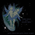 Animal Collective – Spirit They’re Gone, Spirit They’ve Vanished