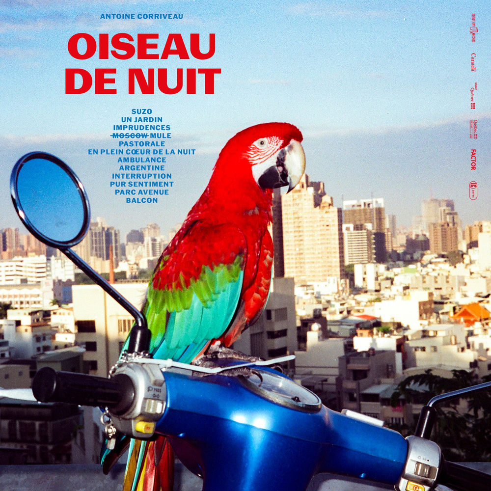 Antoine Corriveau – Oiseau de Nuit