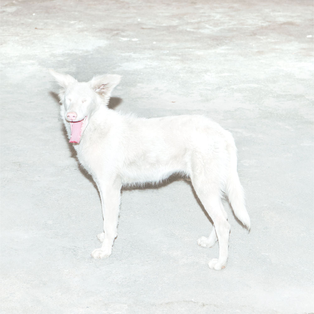 Ão – Malandra