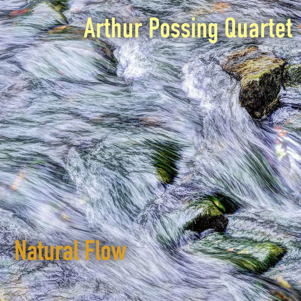 Arthur Possing Quartet – Natural Flow