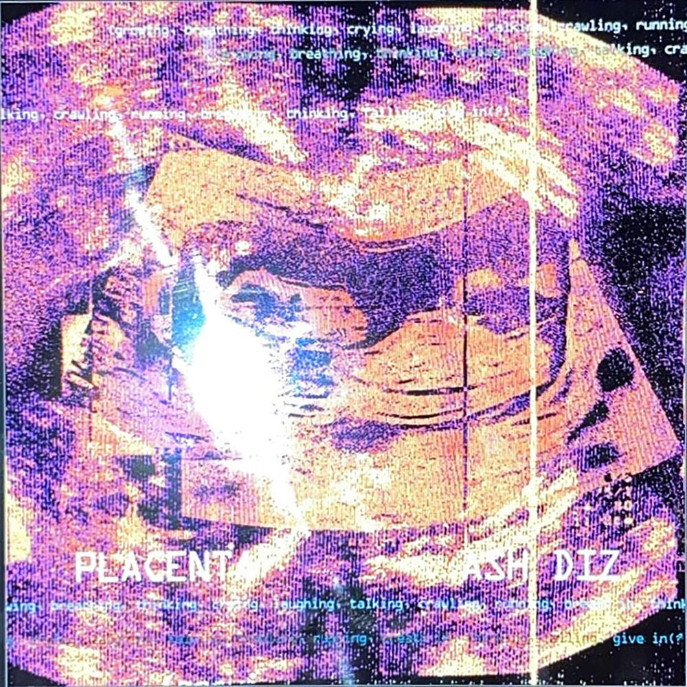 ash diz – placenta (growing, breathing, thinking, crying, laughing, talking, crawling, running, breath in, thinking, falling, give in(?)