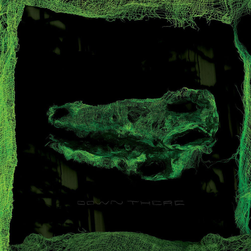 Avey Tare – Down There