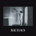 Bauhaus – In the Flat Field